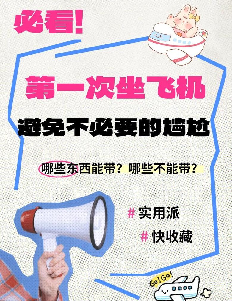 电饭煲坐飞机能带吗?