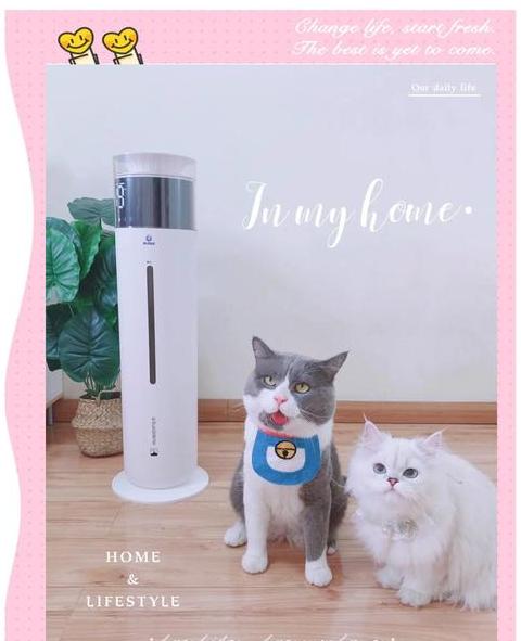 空调房放加湿器好不好