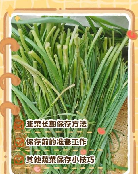 韭菜放冰箱可以放多久